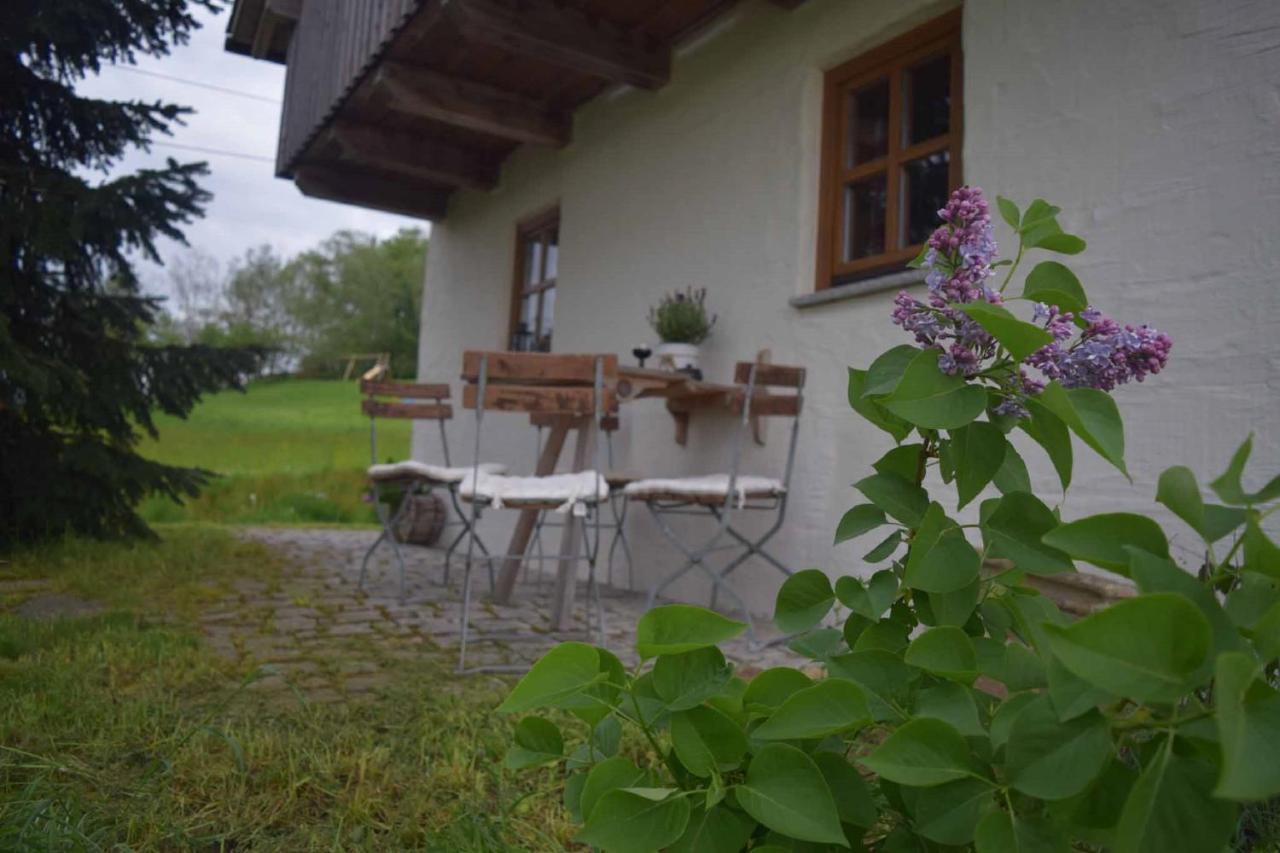 Birken Chalet Falkenfels Exteriör bild
