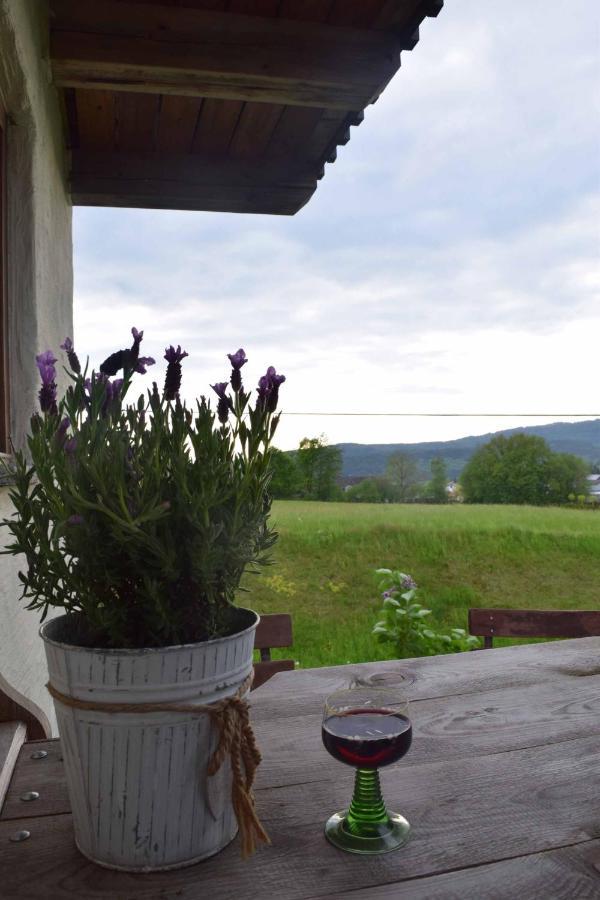Birken Chalet Falkenfels Exteriör bild
